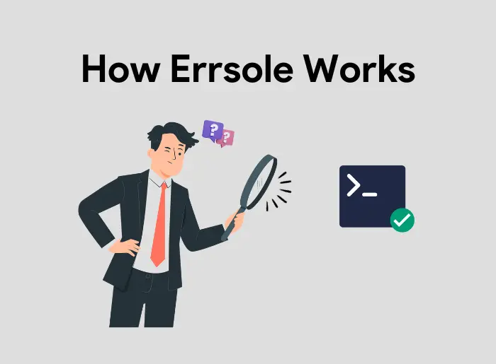 How Errsole Works